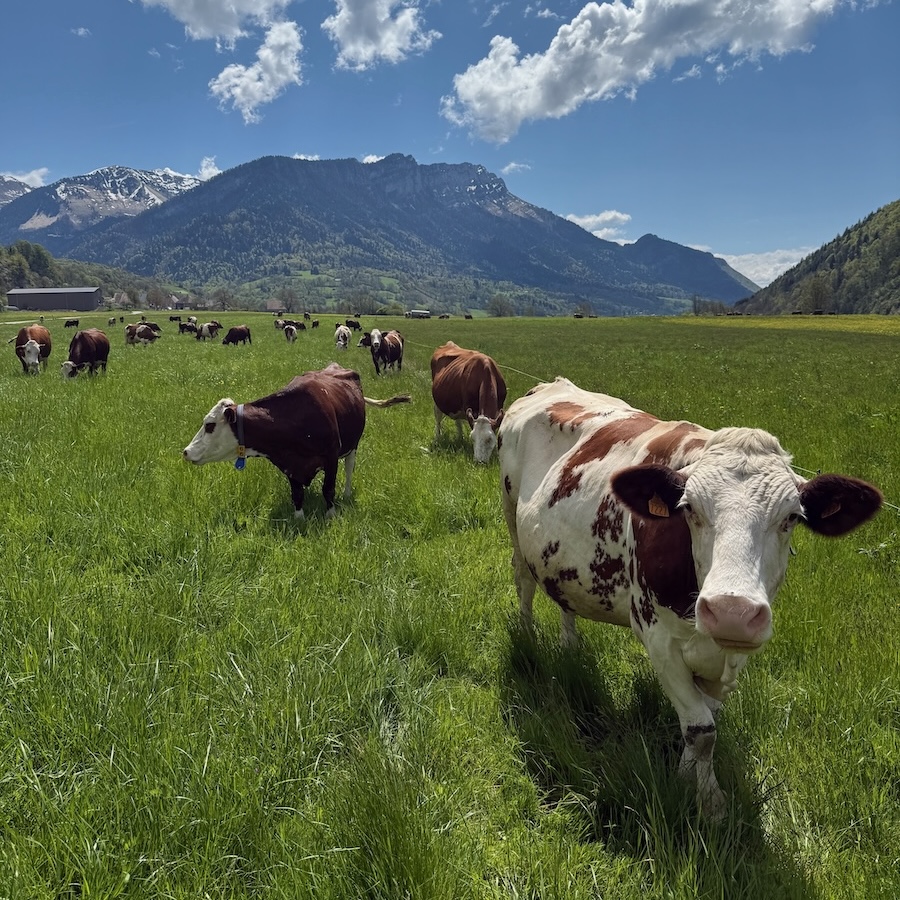 stage parapente autonomie bauges